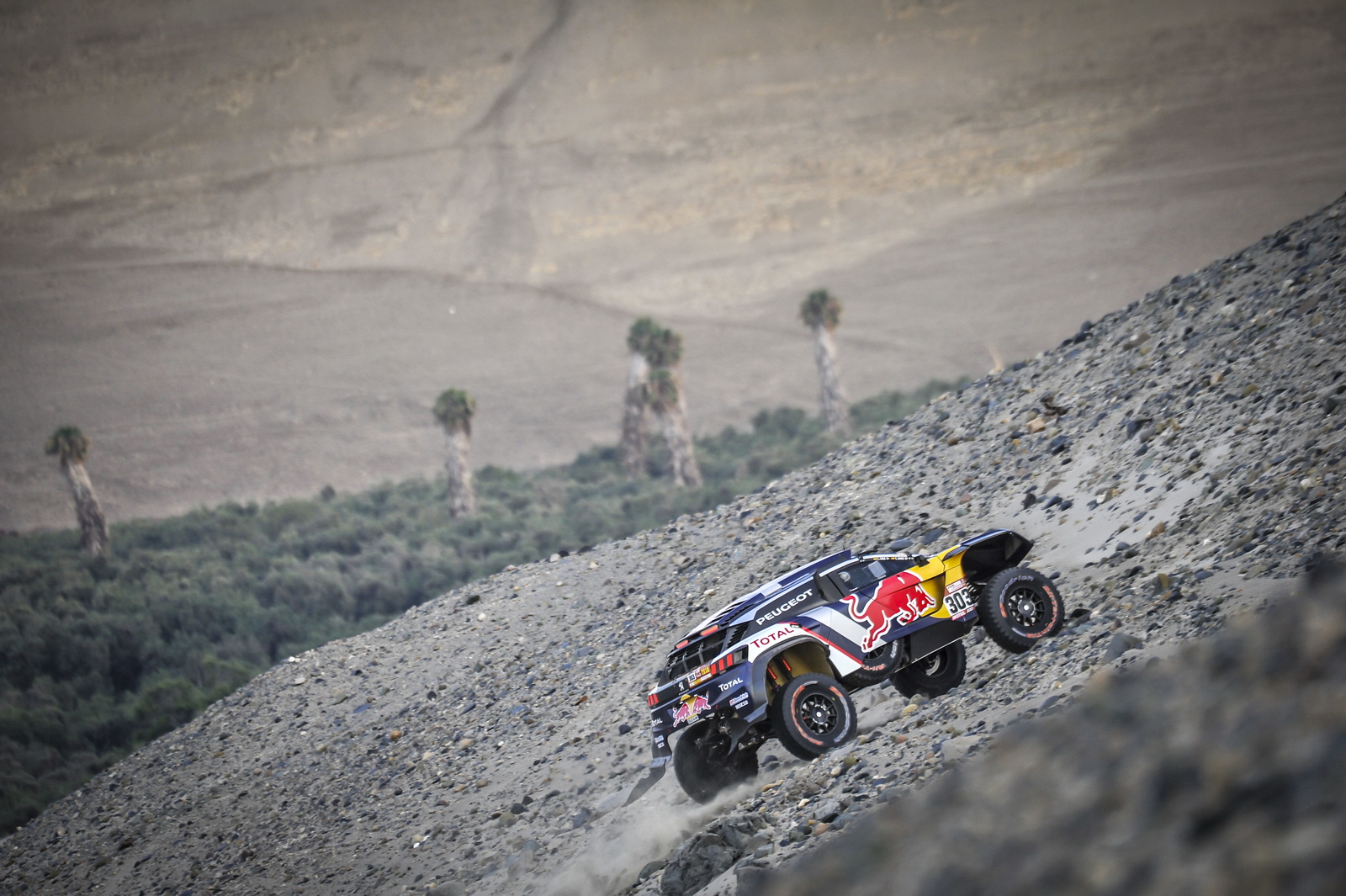 Rally Dakar Quad