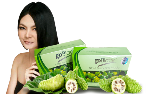 shampoo, shampo noni, jual shampo noni, agen shampo noni, shampo penghitam rambut, shampoo goblack, shampo mengkudu