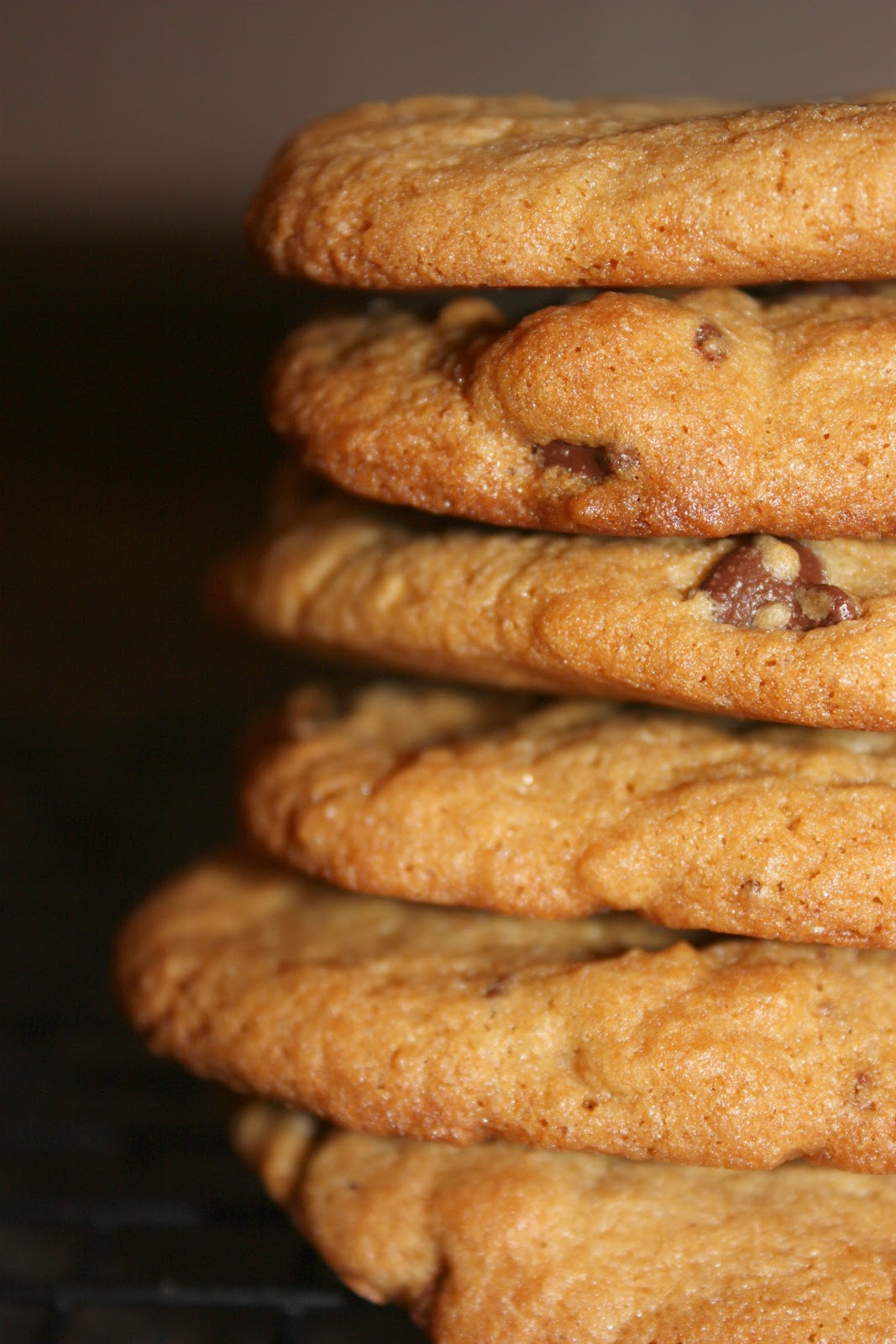 sisters-with-aprons-the-pioneer-woman-s-malted-milk-chocolate-chip-cookies