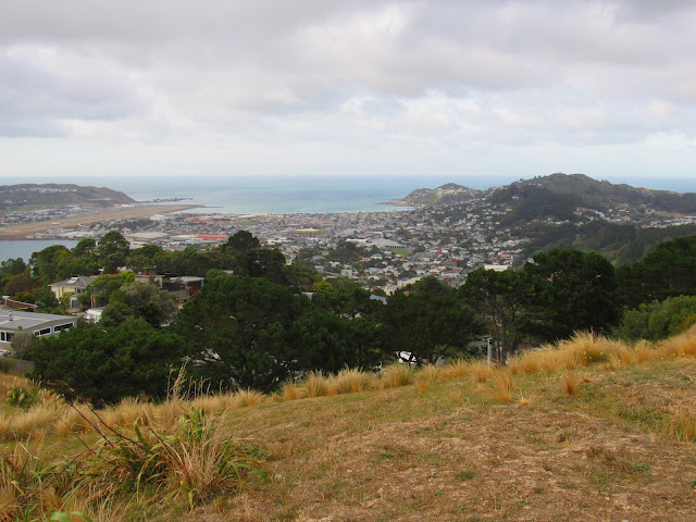 Vistas desde el Monte Victoria Wellington vista desde el Monte Victoria