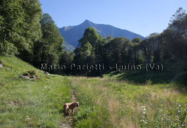 Mergoscia - Corippo itinerari in valle Verzasca