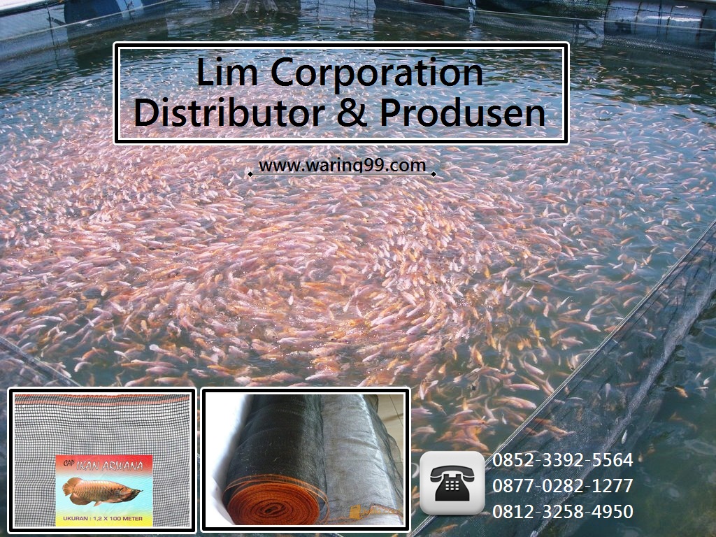 Pabrik Dan DIstributor Waring Ikan 