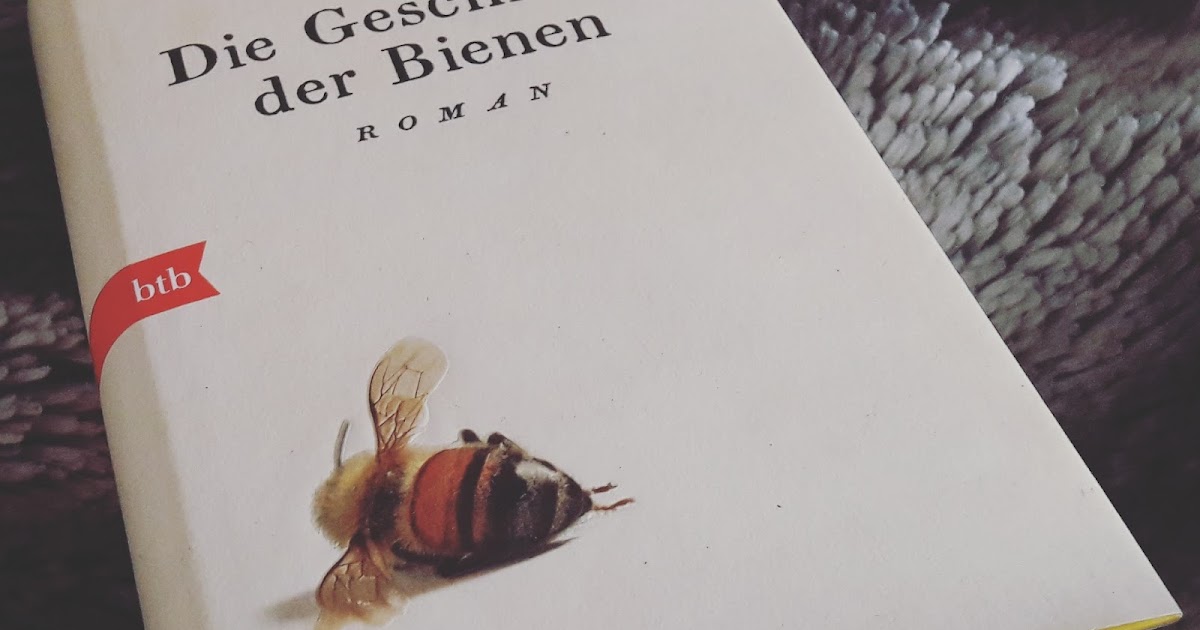 Buchmagie Maja Lunde Die Geschichte der