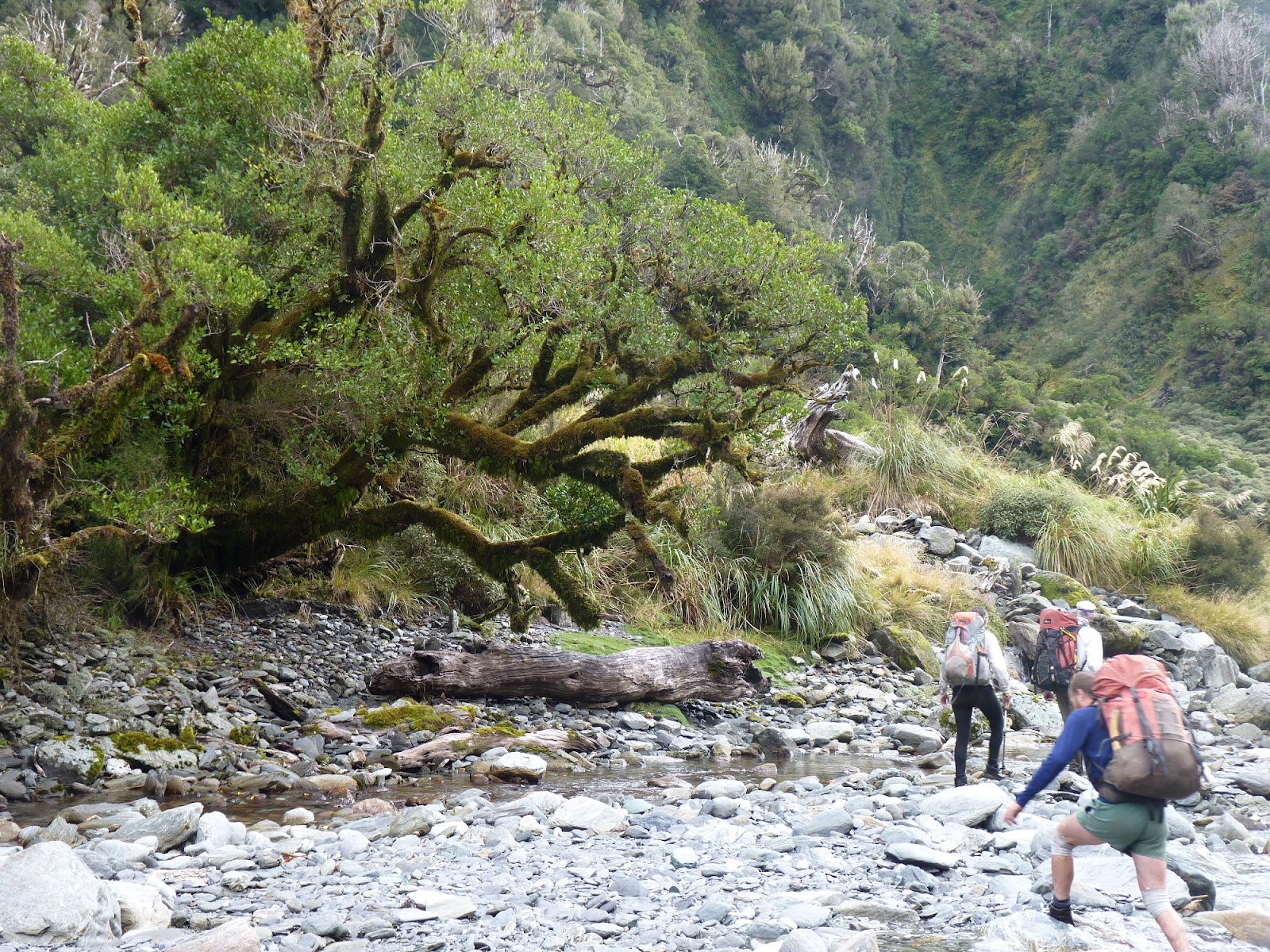 BlogRoddus Rocky Creek hut Griffin Creek hut 2122 April 2012