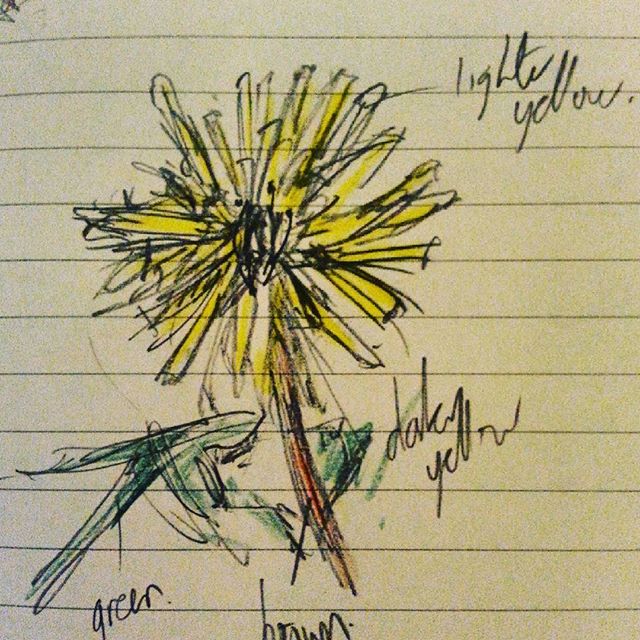 Spring dandelion