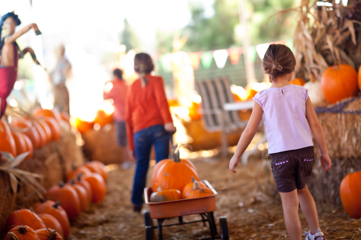 Pediatric Dentistry Of Long Island Pc Pediatric Dentistry Of Long Island Pc