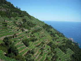Wineries in the Cinque Terre