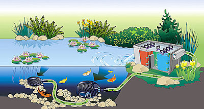 gambar desain filter kolam ikan hias