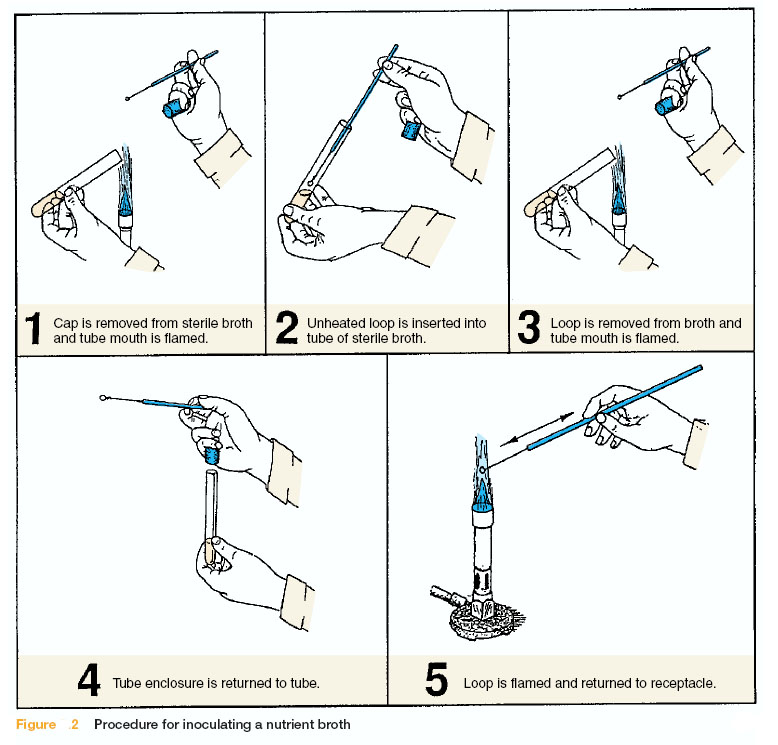 THE FIRST EXPERIMENT