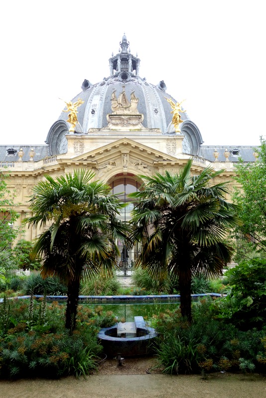 Paris : Le jardin du Petit Palais, les charmes exotiques d'une oasis en