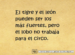 frases sabias frases sabias