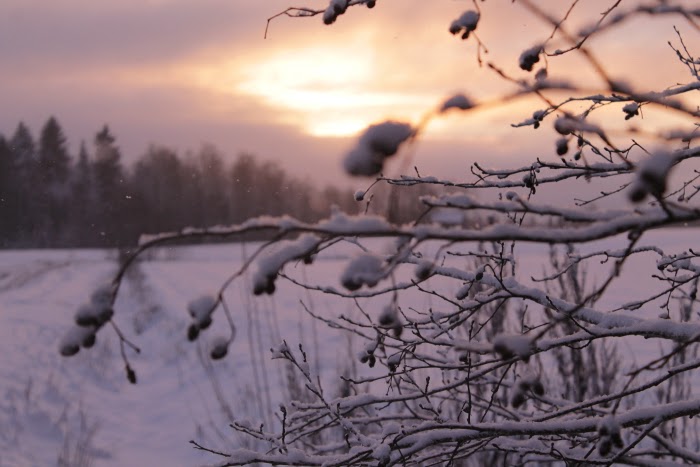 winter light finland canon photography
