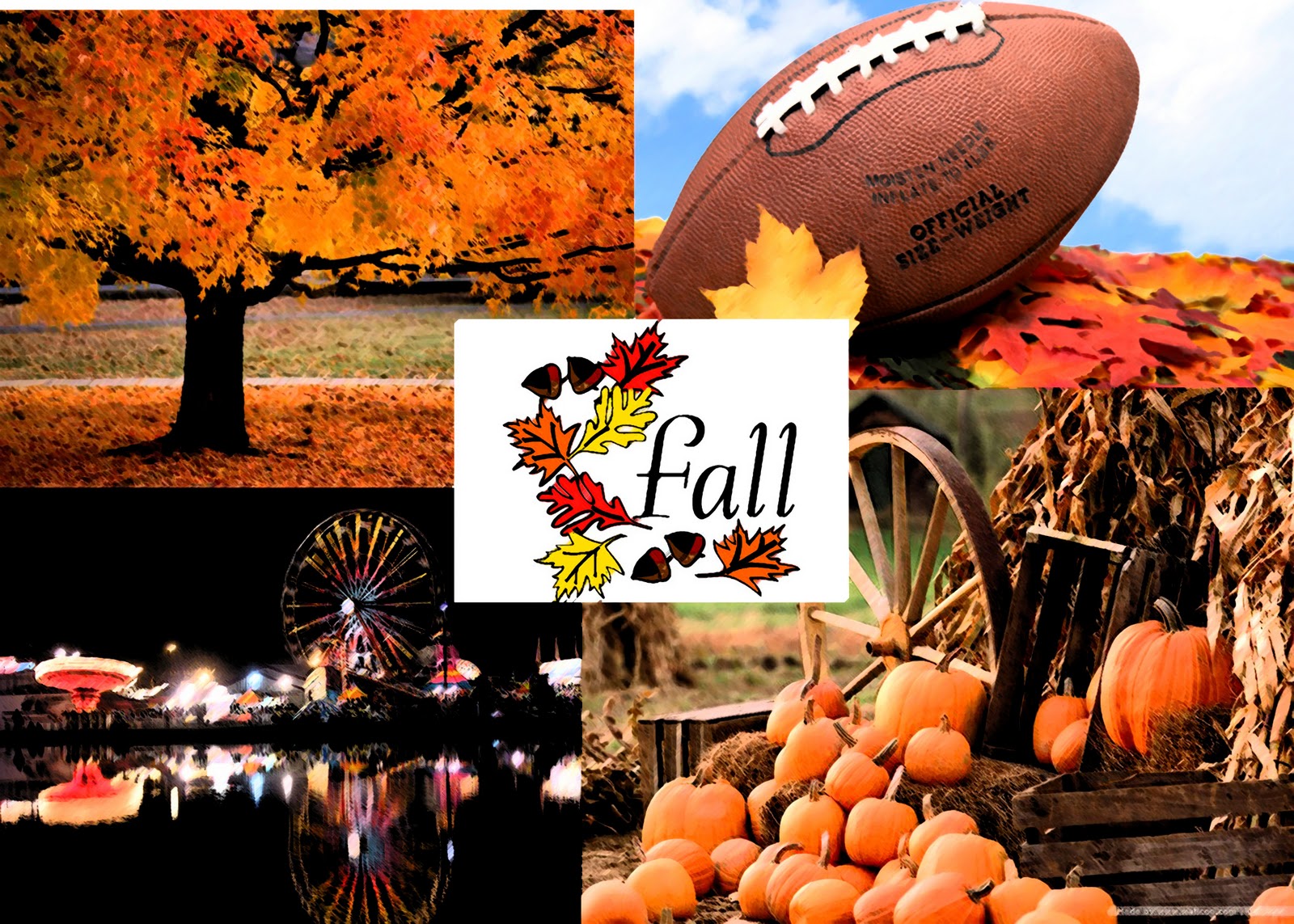 Southern by God's Grace It's Fall, Y'all!Pumpkin Ooey Gooey Butter Cake