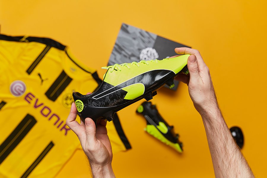 puma evospeed 17.2 fg