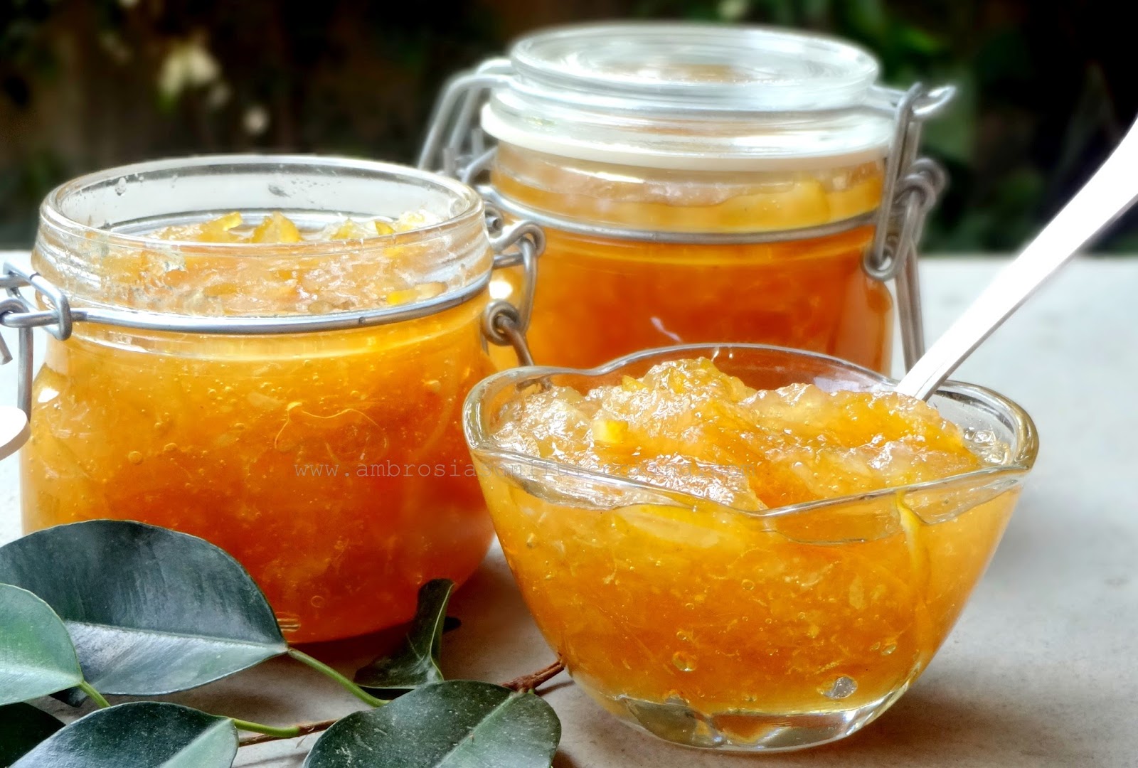 Lemon Marmalade Himalayan Lemon Marmalade Ambrosia