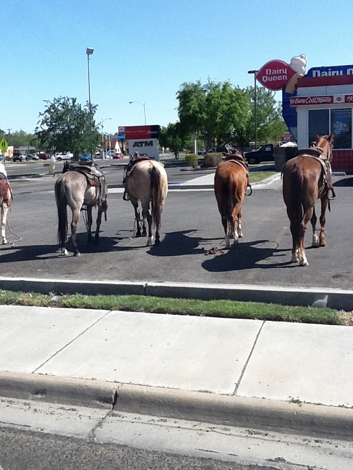 Bonnie's Blog What makes Texas so interesting?