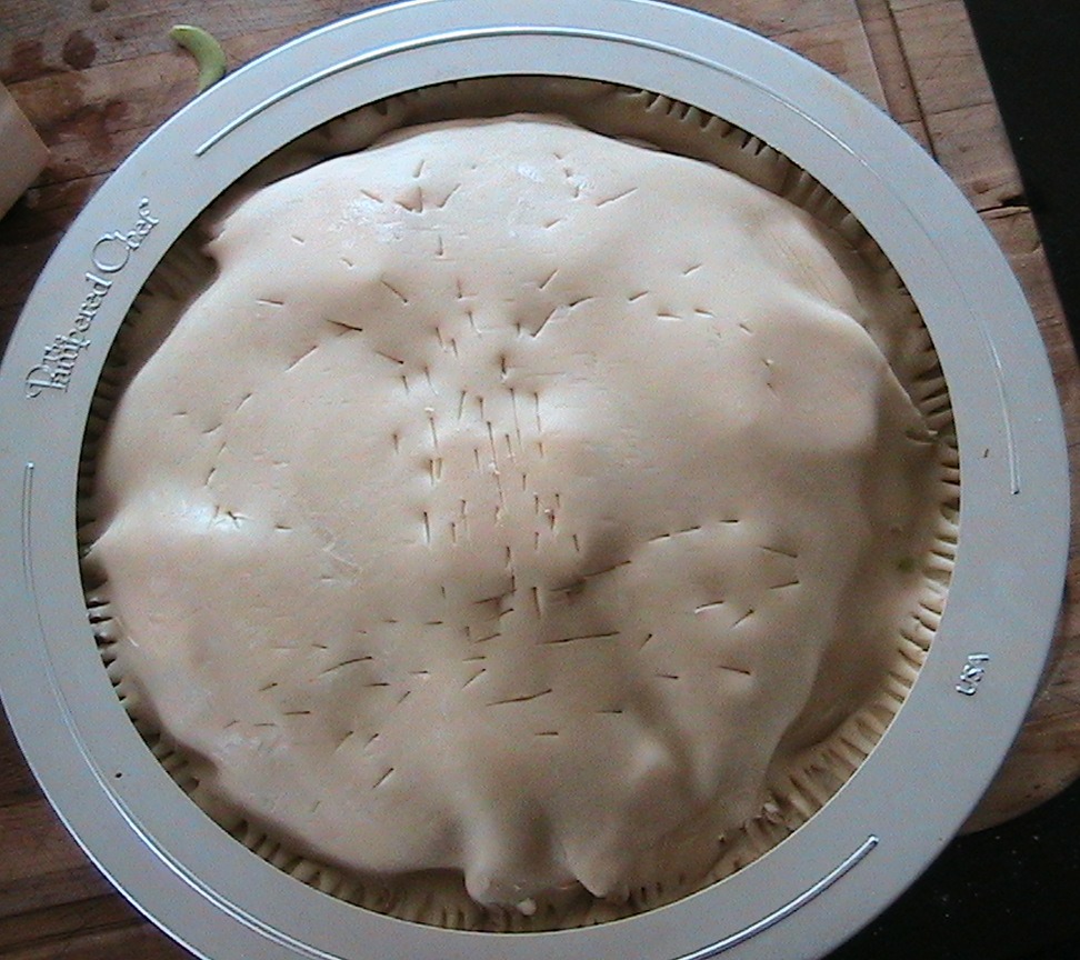 Everyday Art Work Apple Pie Pampered Chef Style