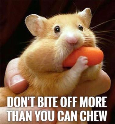dont-bite-off-more-than-you-can-chew-quote-1.jpg