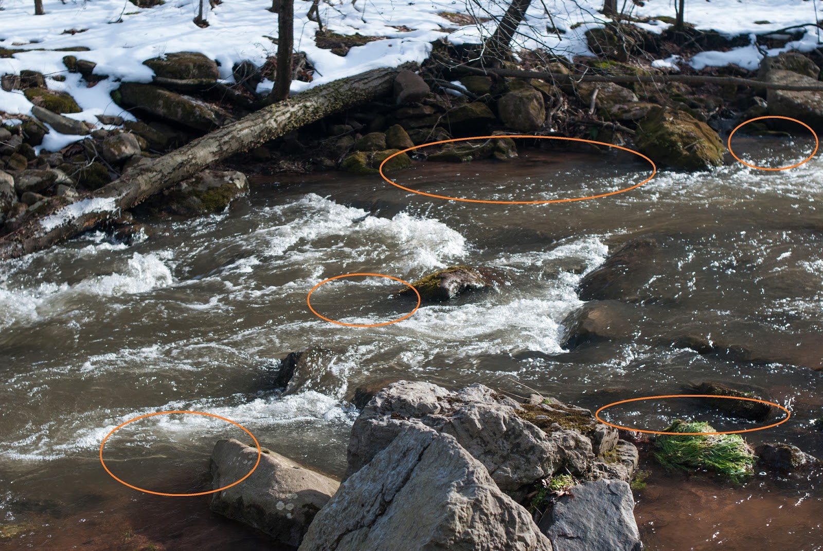 Streamer Fishing Pocket Water Keystone Fly Fishing