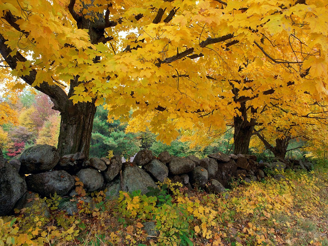 Autumn New England7