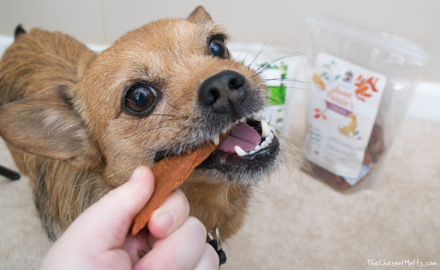 Dr. Harvey's sweet potato chews for dogs