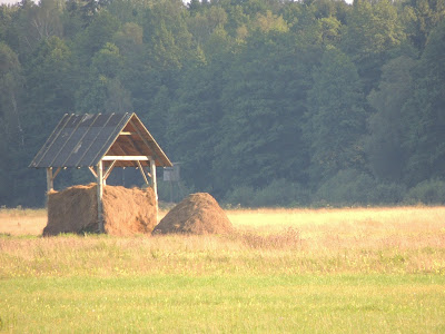 Puszcza Białowieska