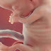 ¿Sabías que a las 11 semanas de gestación se determina si un humano es diestro o zurdo?