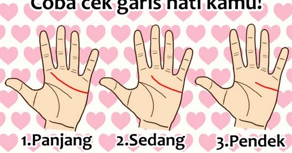 Arti Kepribadian Yang Logis Dan Emosional Melalui Garis Tangan