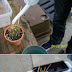 How do you water a small cactus
