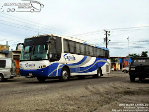 Autobuses Aguila @ Autobuses Digitales MX • Bus & Coach Digital Imaging