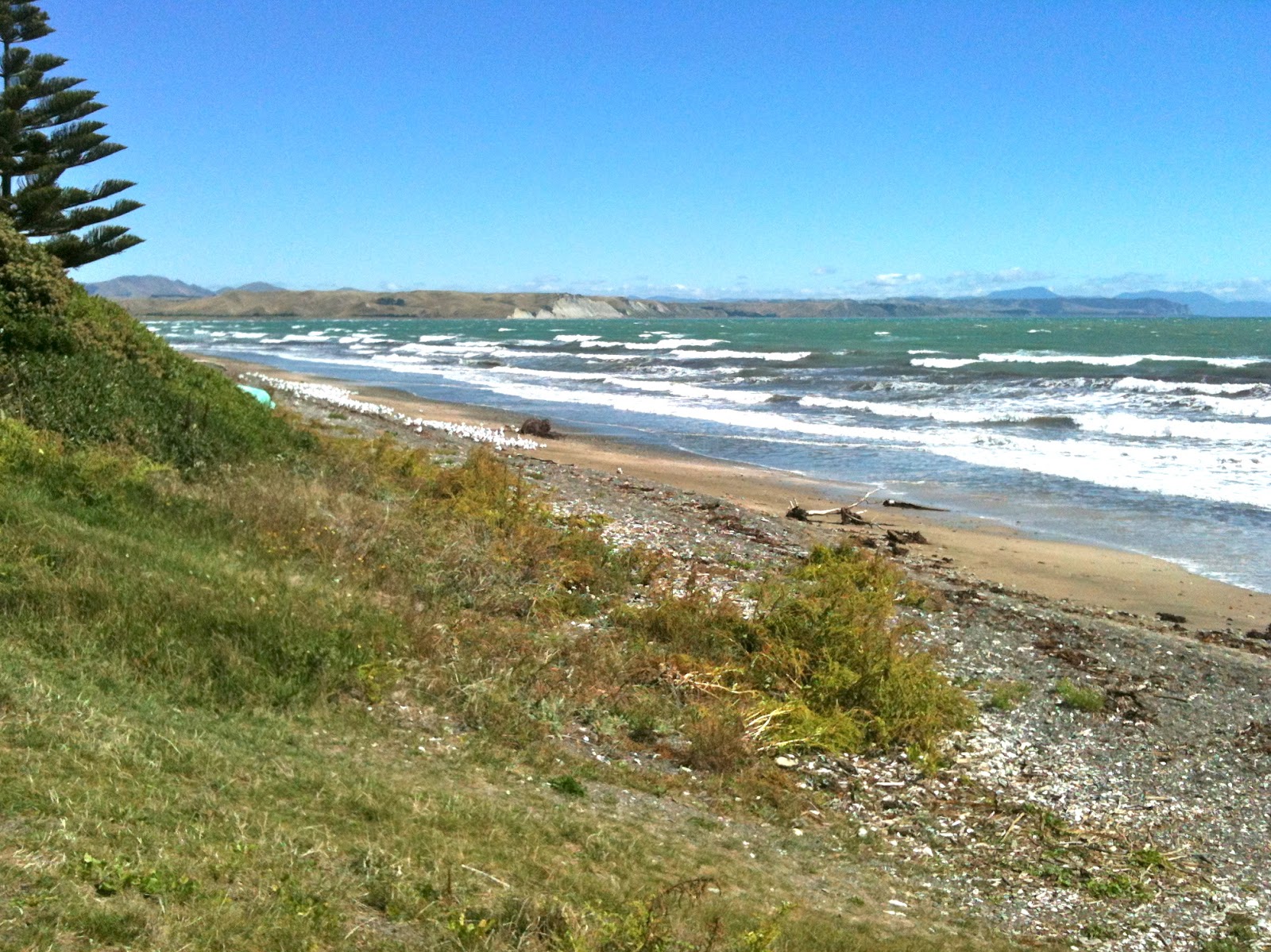 Eat, Knit, Love. . . Road trip the first Marfell's Beach, Marlborough