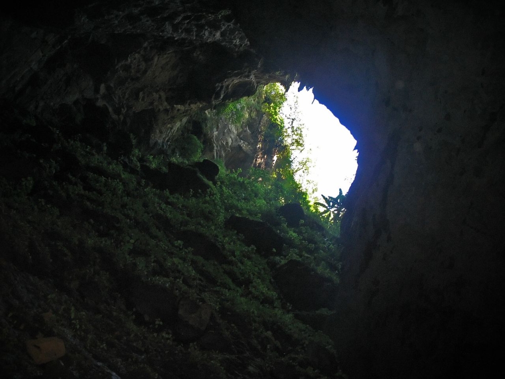 сан луис потоси пещера ласточек. пещера санктум ласточек. пещера эса ала. пещера сотано-де-лас-голондринас. пещера эса ала папуа новая гвинея.