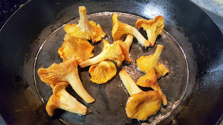 Sauter les champignons (girolles).