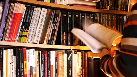 browsing in library