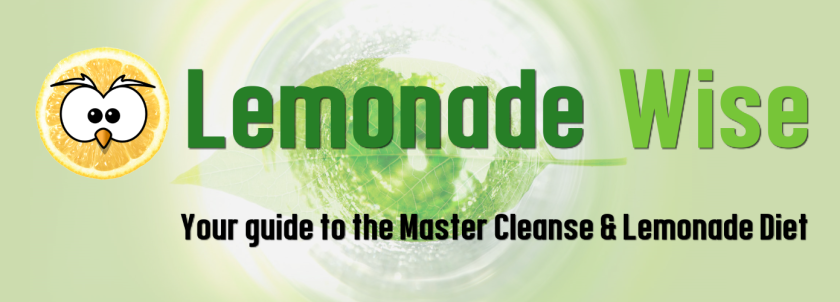 Lemonade Wise What Is Lemonade Wise lemonade-wise-what-is-lemonade-wise