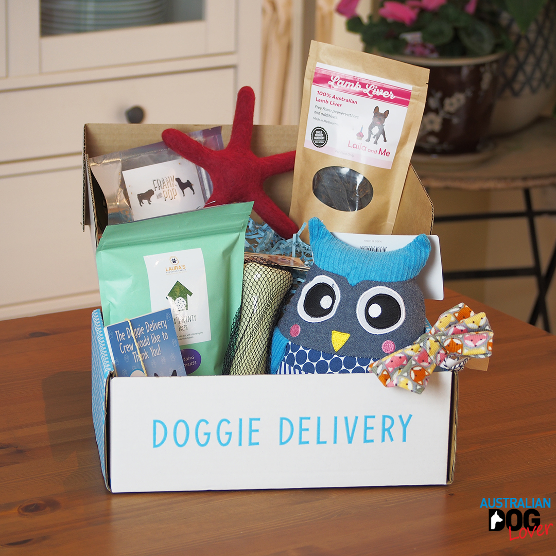 Doggie Delivery Dog Subscription Box Review Australian