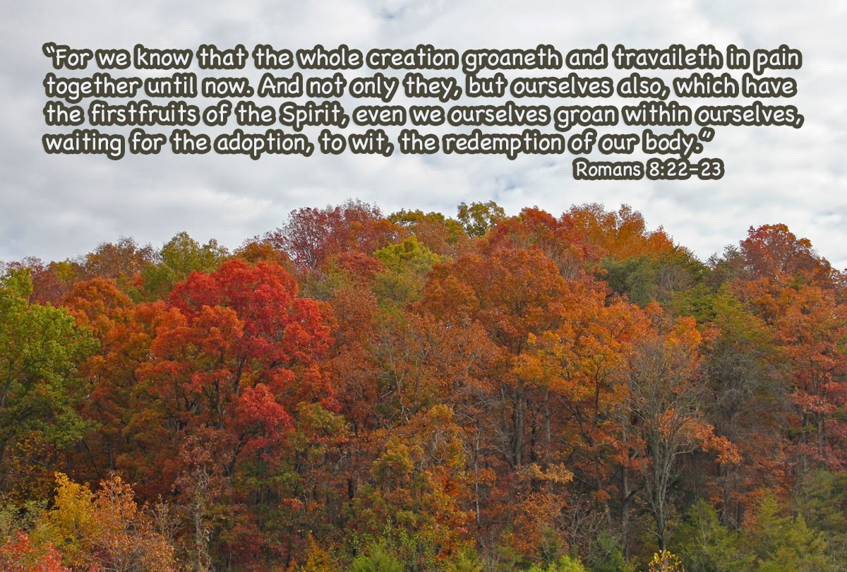 the-prophecy-puzzle-revelation-21-6-romans-8-22-23