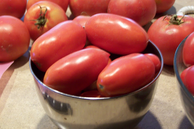 Tomatoes & Salsa