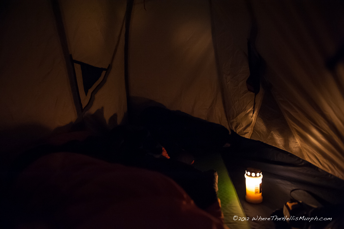 Ночью деревья спят. Внутри палатки ночью. Палатка изнутри ночью. Вечер в палатке. Палатка изнутри изнутри ночью.