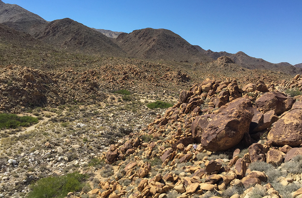 Indian terriorty Anza Borrego Pictograph hike