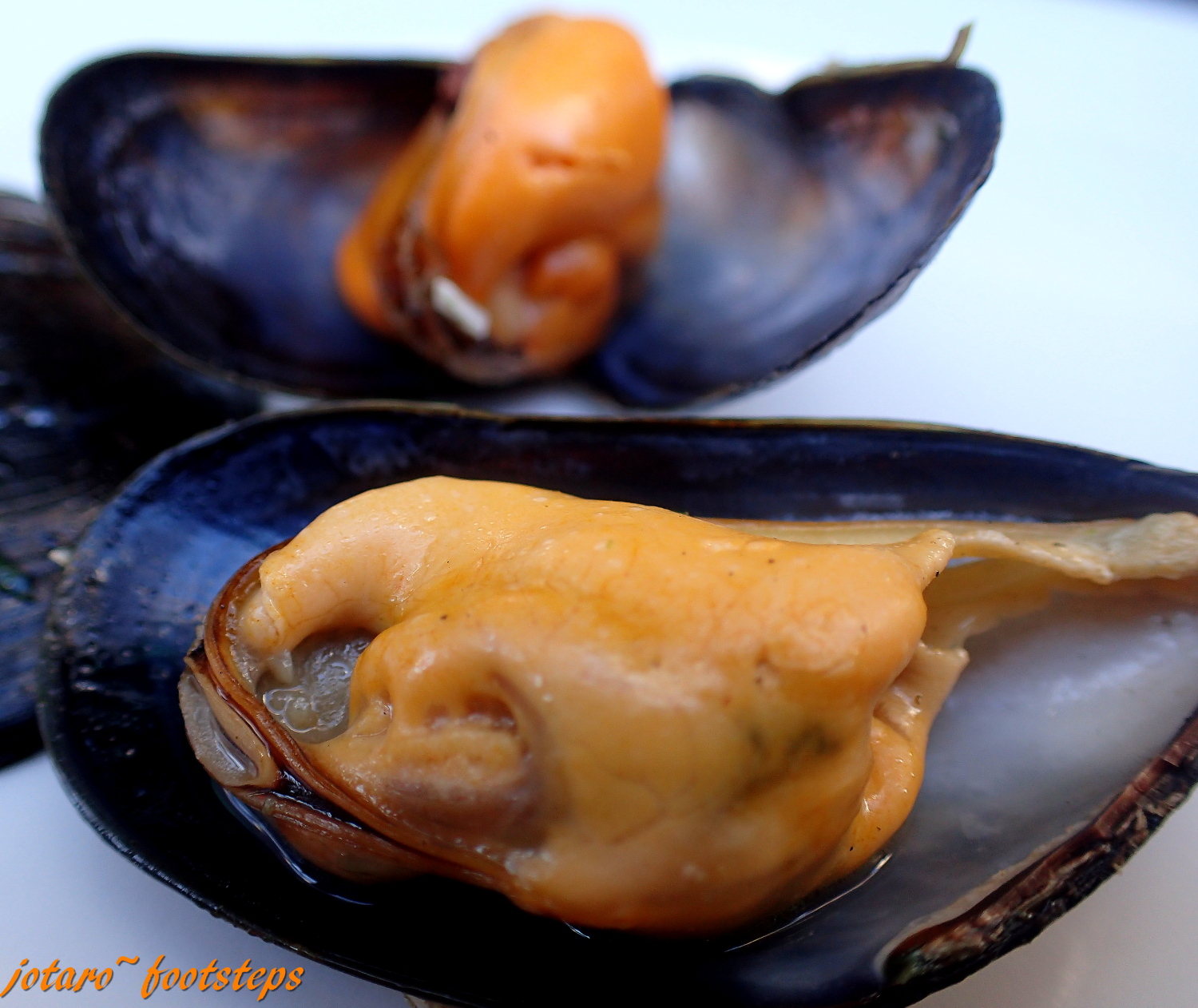 Footsteps Jotaro's Travels YummY! Brussels Mussels (Moules