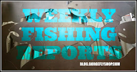 Gorge Fly Shop Blog: Gorge Fly Shop Fishing Reports (2015 or Older)