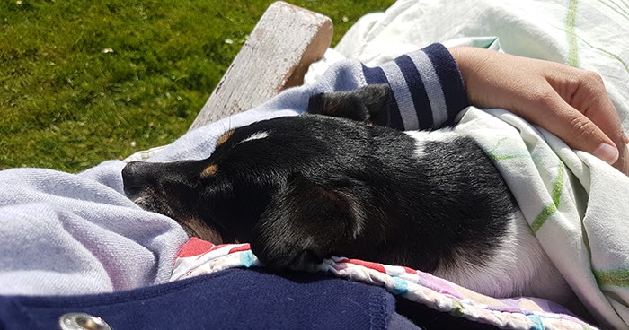 die Selbermacherin Das arme Mäusle&hellip;