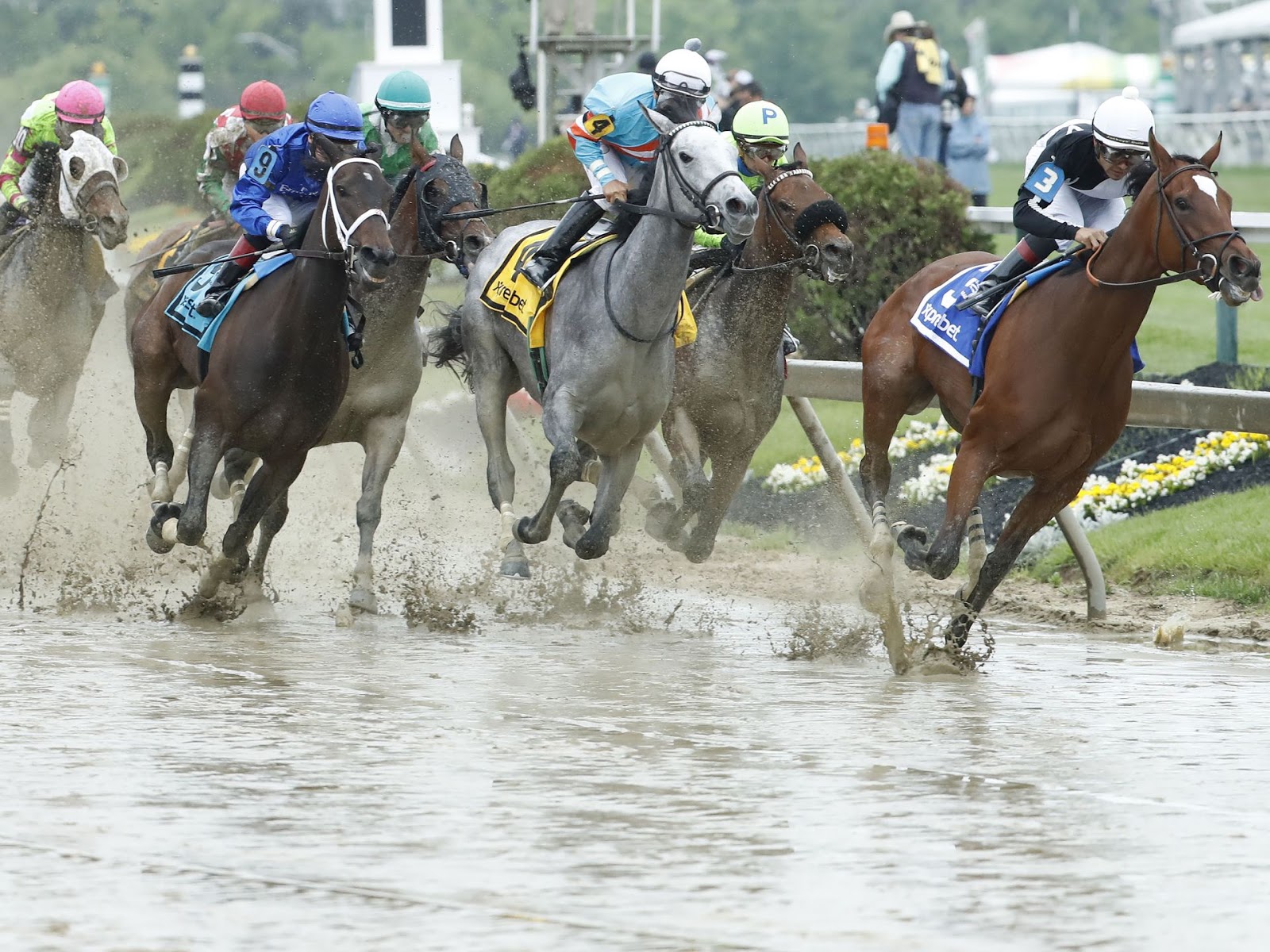 lusosports Pimlico Race Course