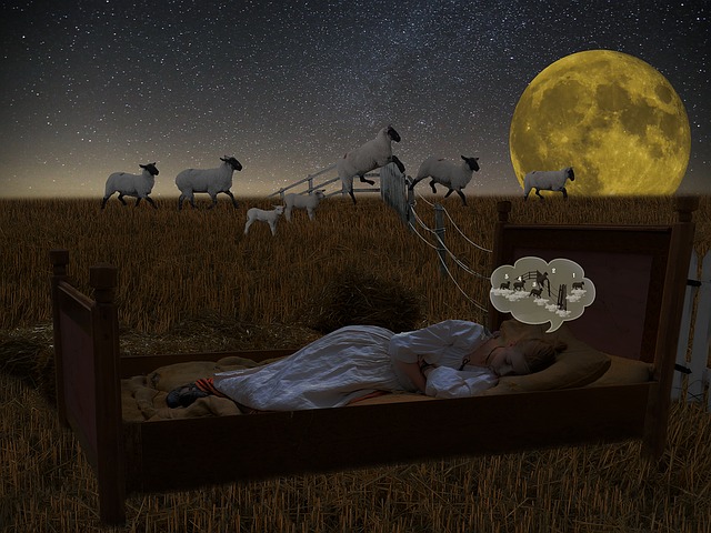 insomnio insomnio