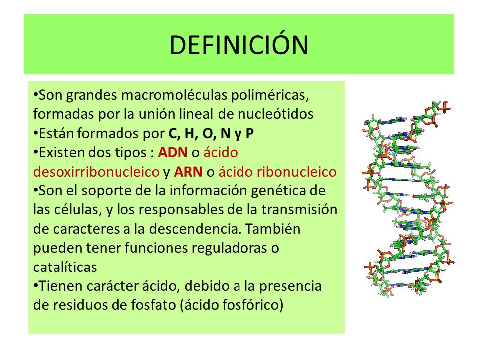 Macromoleculas definición