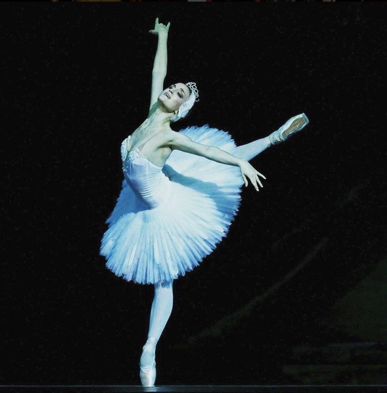 волочкова лебединое