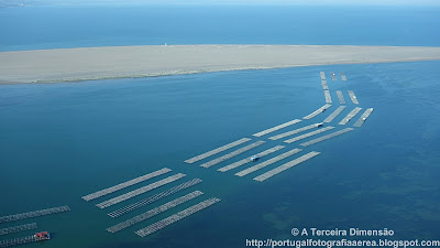 ESPANHA - Deltebre (Delta do Ebro)
