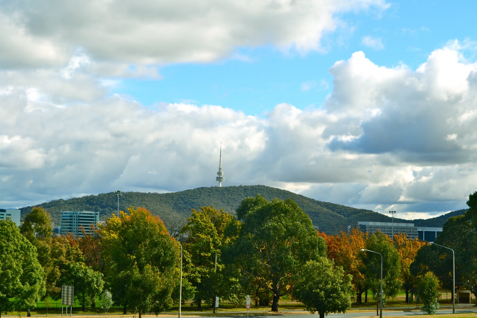 Life Down Under Black Mountain Tower