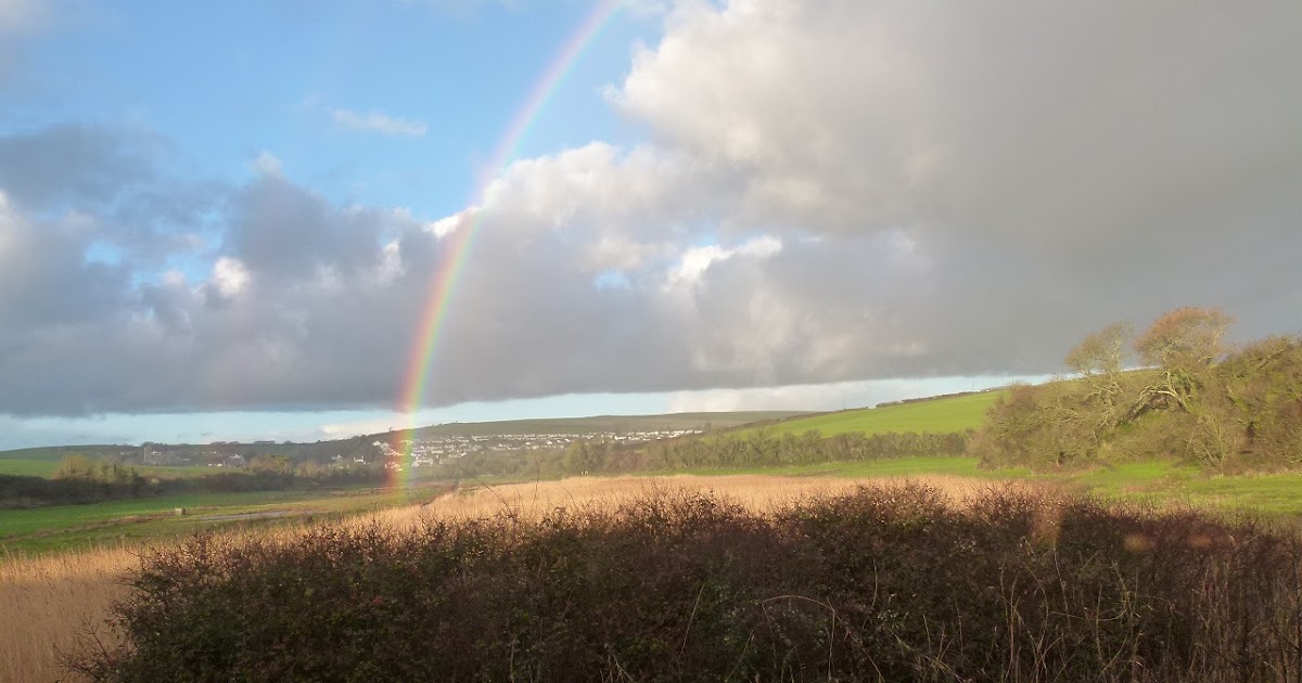 Charleton Birding West Charleton Marsh